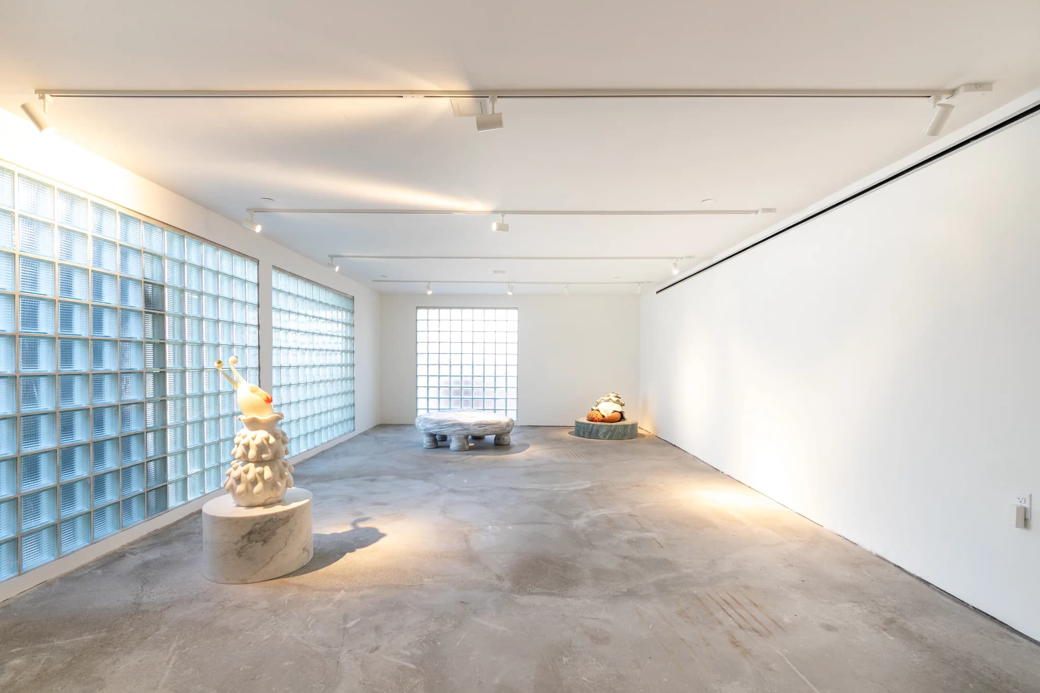 Open room with curved glass-block wall inside the property